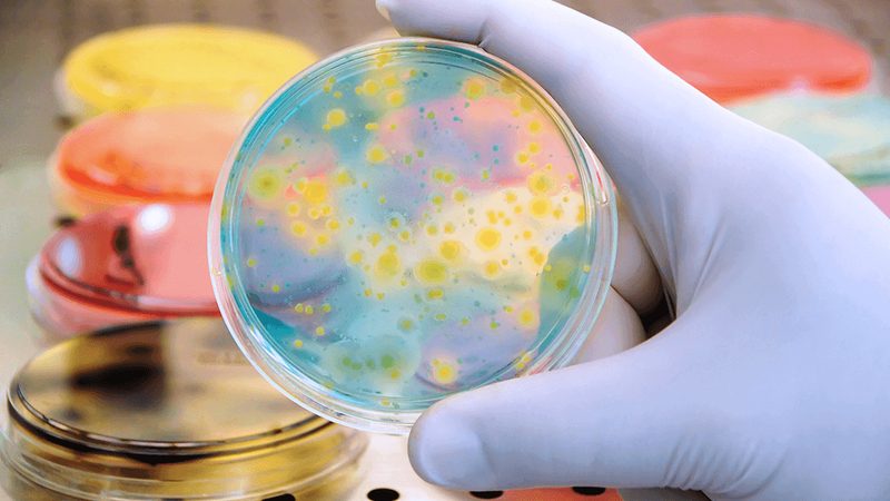 2025生物医药园区招商政策解读：机遇与挑战并存**