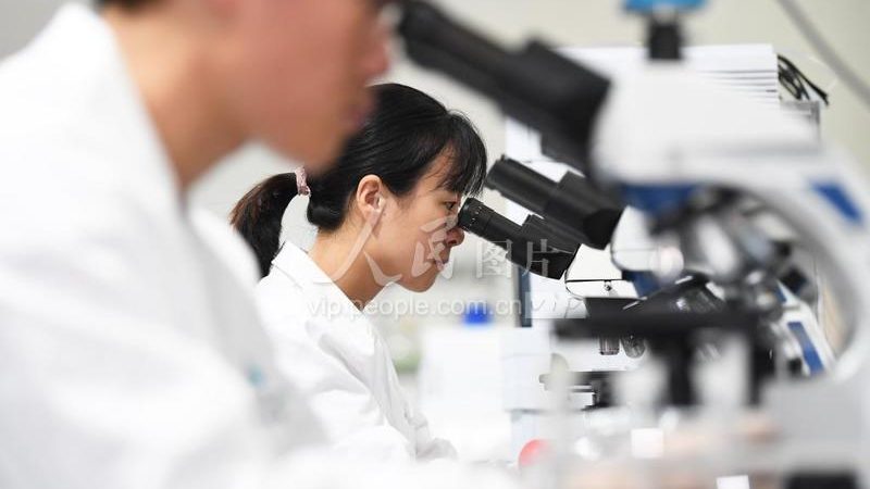 CRo工具生产厂家：揭秘医药研发背后的“隐形功臣