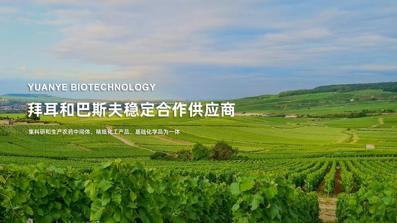 无创产前基因检测：揭秘流程步骤与关键环节