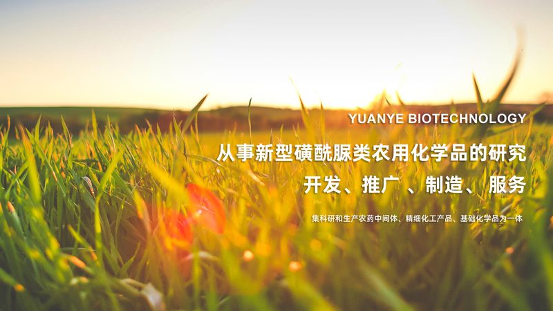 生物医药产业园选址：关键步骤与考量因素