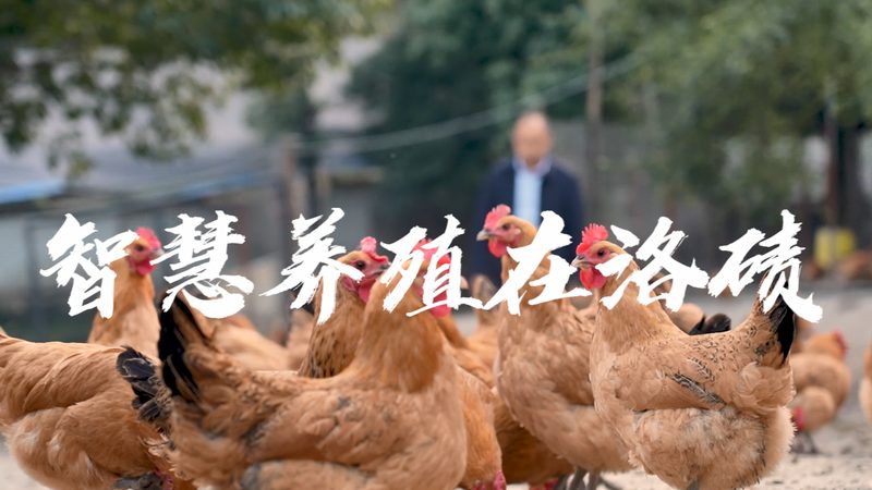 基因解码，运动更有谱——揭秘上海运动基因检测机构**