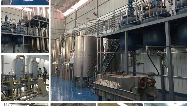 细胞工厂与传统发酵：定制方案背后的技术解析