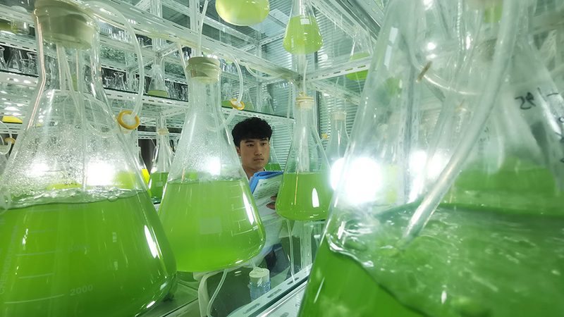PCR核酸检测实验室：建设标准解析与关键要素